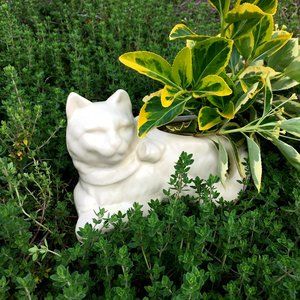 vintage Kitty Cat planter